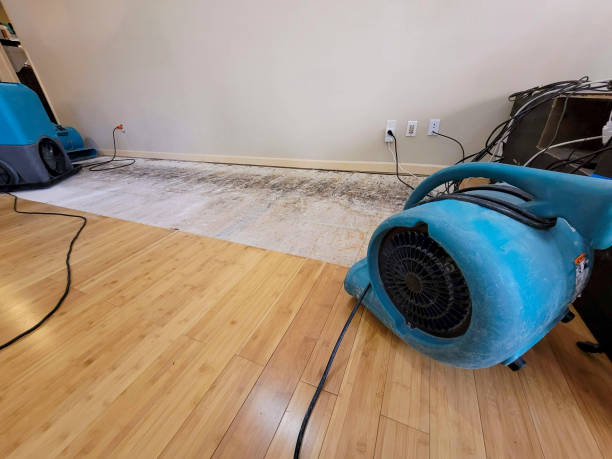 Professional Emergency Water Damage technician working in Uniontown, PA